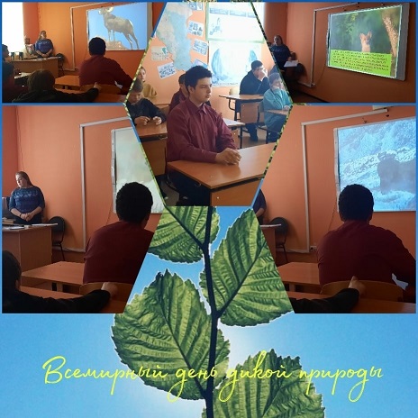 всемирный день дикой природы.jpg